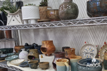 a selection of differenty types of ceramic items displayed on two shelves.